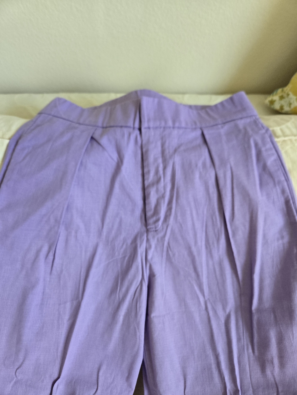 SHEIN Lavender Pleated High-Waist Pants